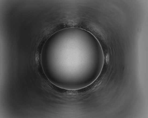 X0000095131299200712141148