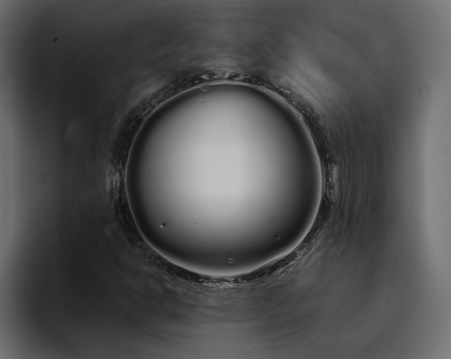 X0000095131302200712141148