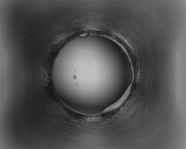 X0000095131303200712141148