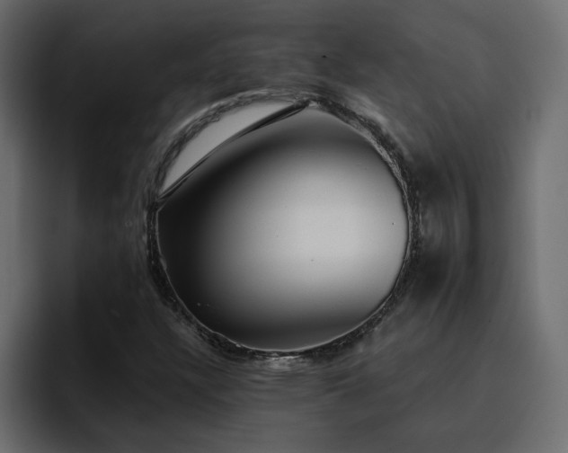 X0000095131304200712141148