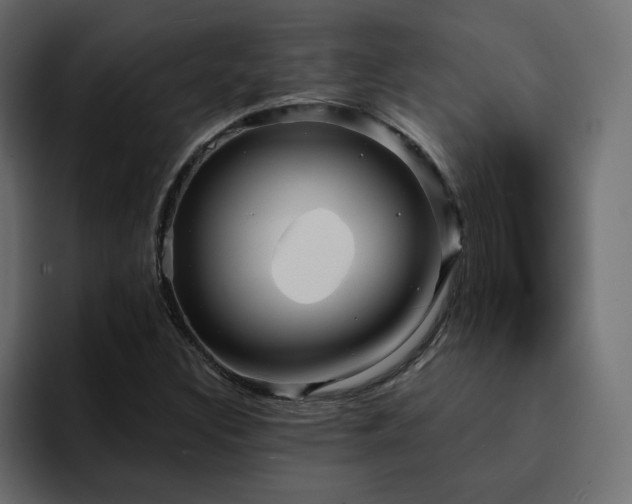 X0000095131308200712141148