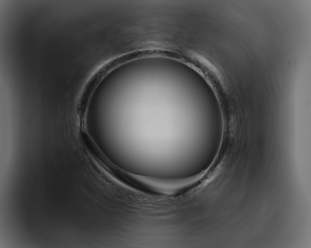 X0000095131310200712141148