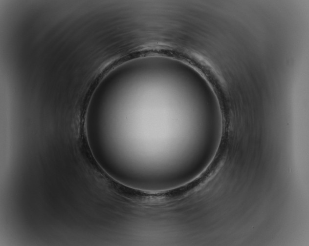 X0000095131313200712141148