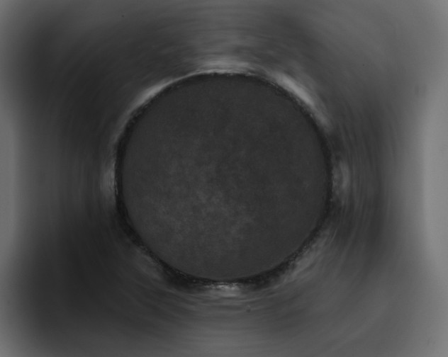 X0000095131315200712141148