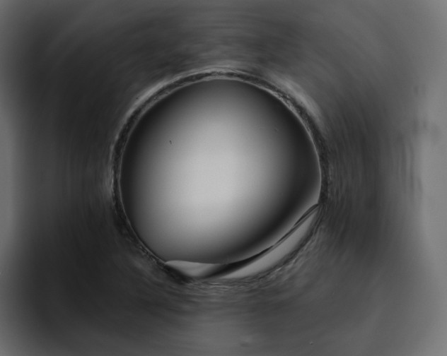 X0000095131316200712141148