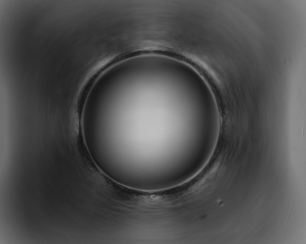 X0000095131317200712141148