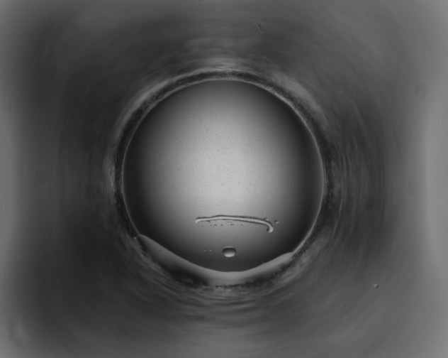 X0000095131318200712141148