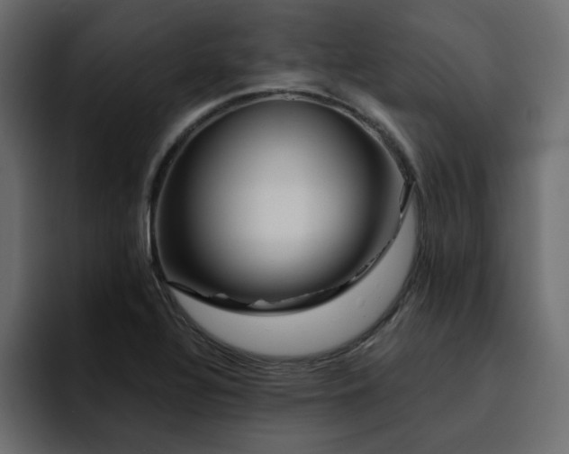 X0000095131320200712141148