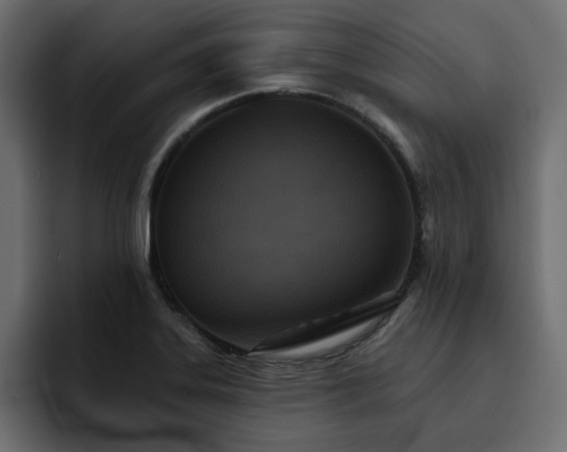 X0000095131323200712141148