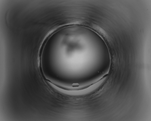 X0000095131324200712141148