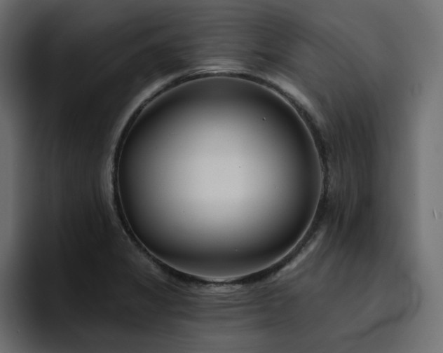 X0000095131325200712141148