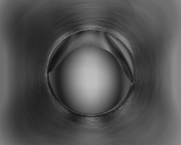 X0000095131330200712141149