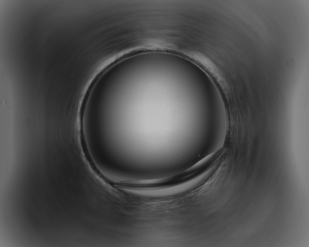 X0000095131335200712141149