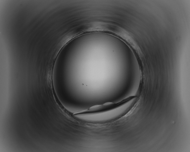 X0000095131337200712141149