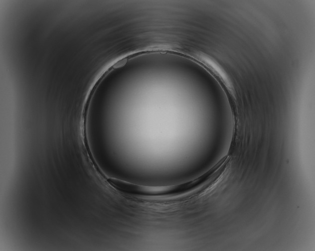 X0000095131340200712141149