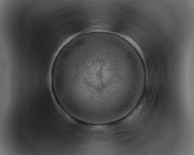 X0000095131341200712141149