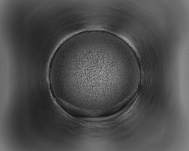 X0000095131342200712141149