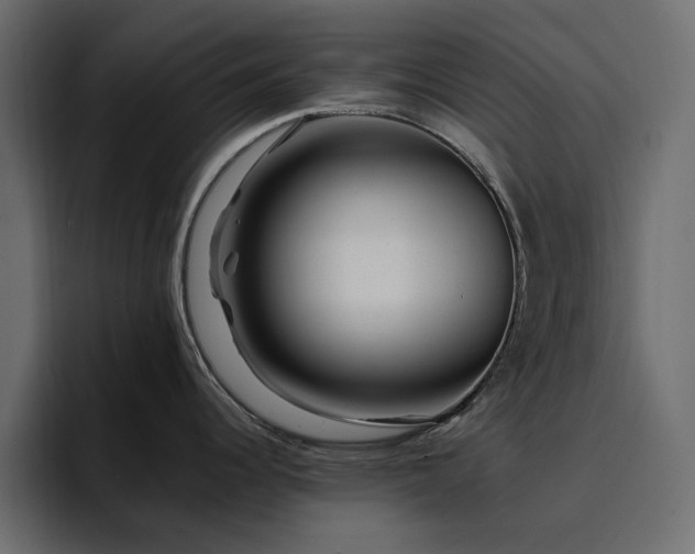 X0000095131344200712141149