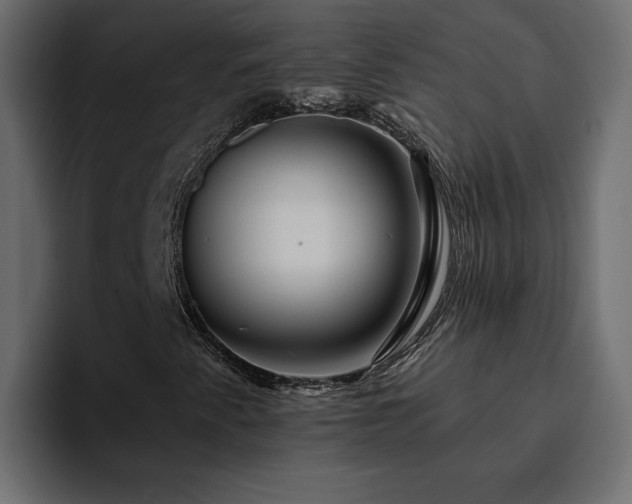 X0000095131345200712141148