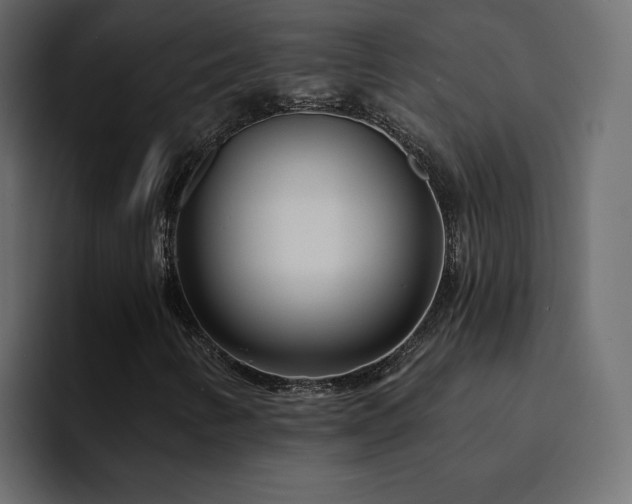 X0000095131346200712141148