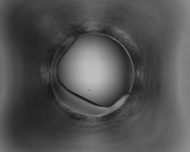 X0000095131348200712141148