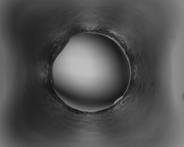 X0000095131349200712141148