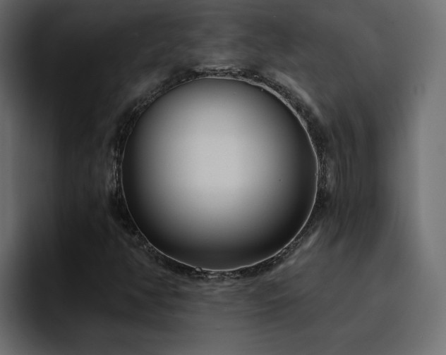 X0000095131350200712141148