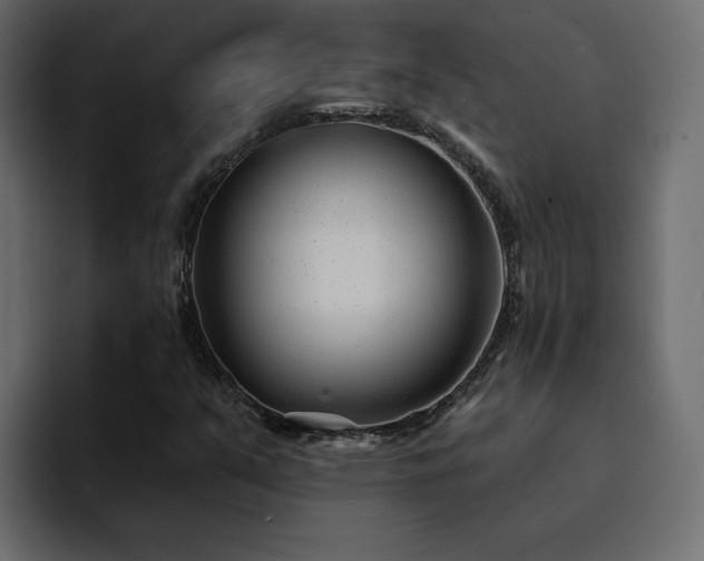 X0000095131351200712141148