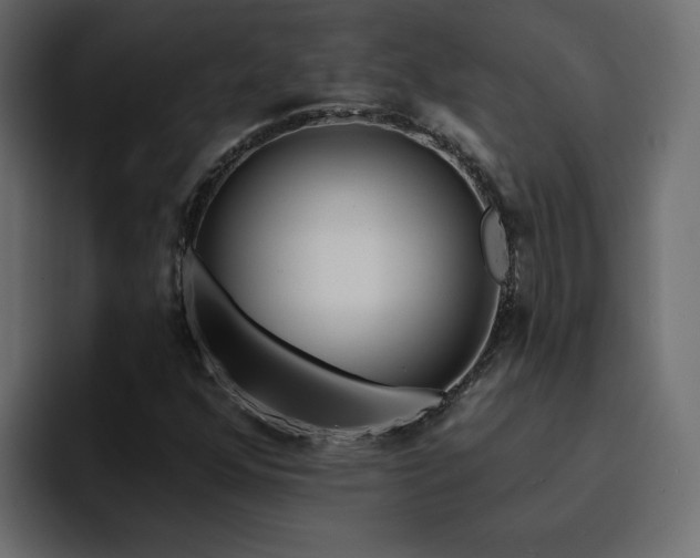 X0000095131352200712141148