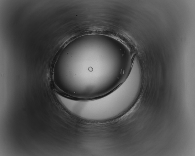 X0000095131353200712141148