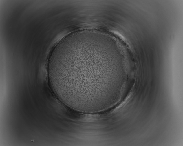 X0000095131354200712141148