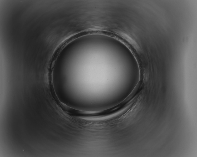 X0000095131356200712141148