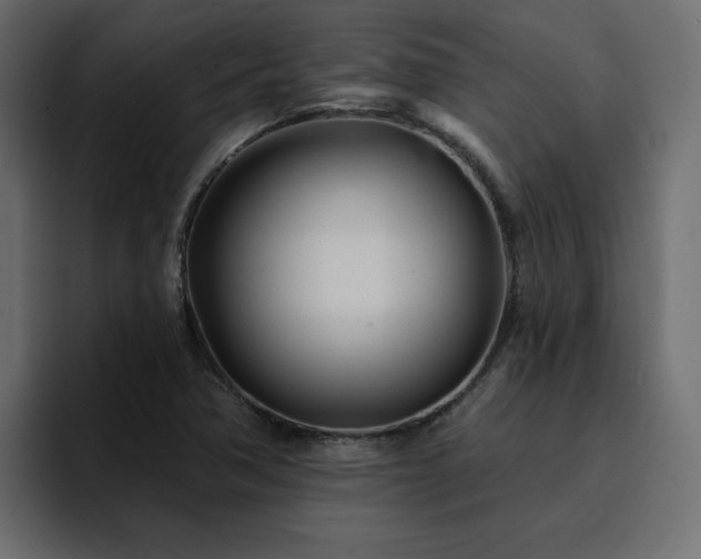 X0000095131362200712141148