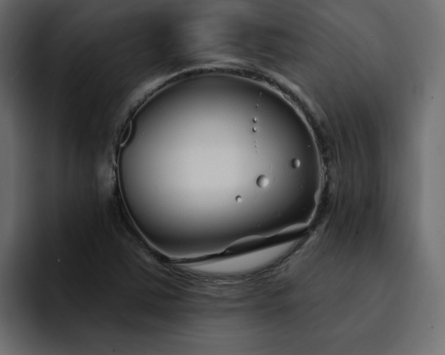 X0000095131363200712141148