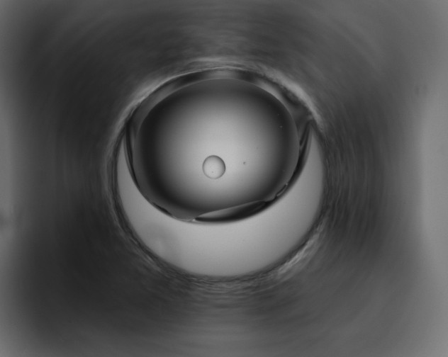 X0000095131365200712141148