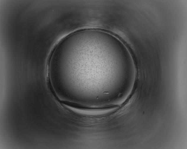 X0000095131366200712141148