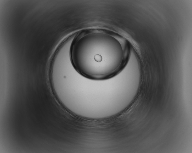 X0000095131368200712141148