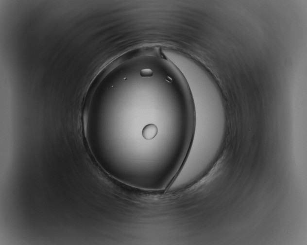 X0000095131369200712141148