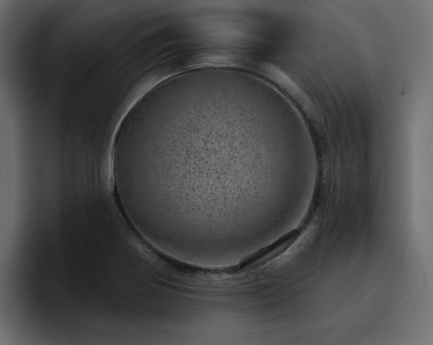 X0000095131370200712141148