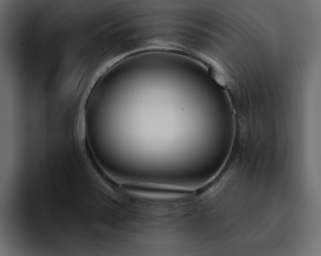 X0000095131371200712141148