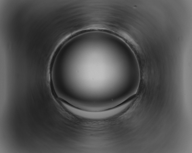 X0000095131372200712141148