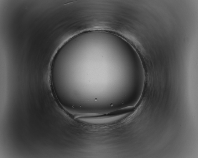 X0000095131374200712141148