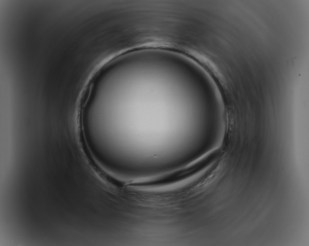 X0000095131375200712141148