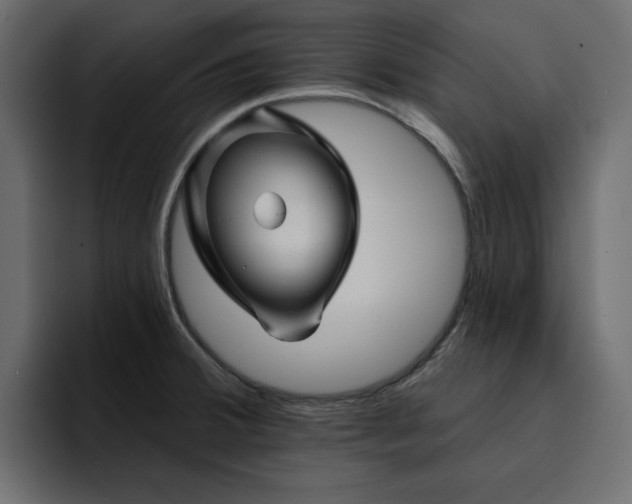 X0000095131380200712141148