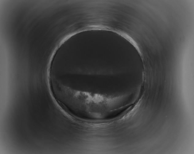 X0000095131381200712141148