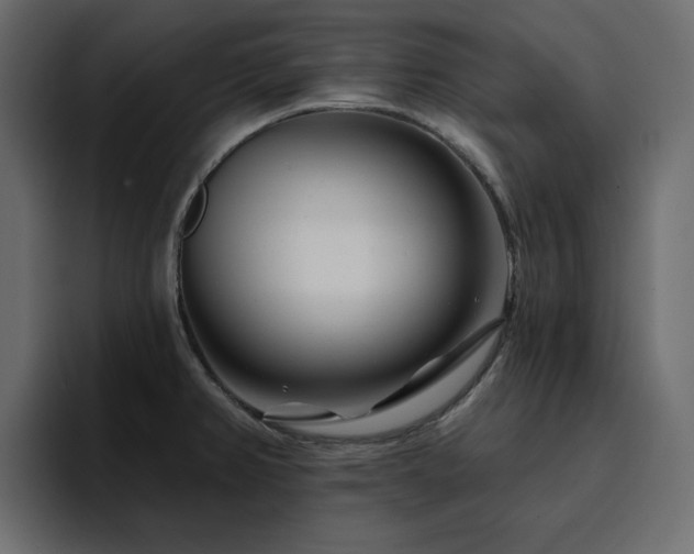 X0000095131382200712141148