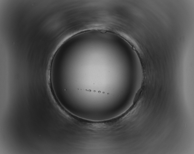 X0000095131383200712141148