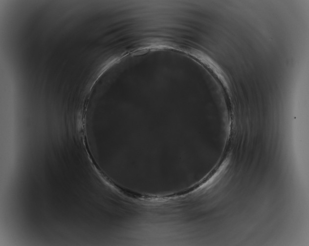 X0000095131385200712141148