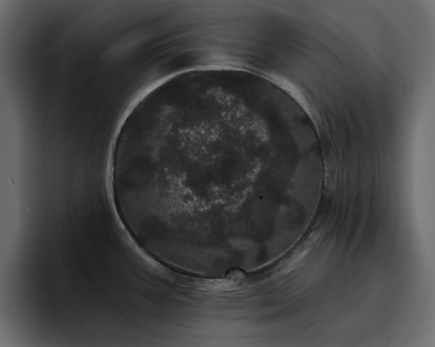 X0000095131387200712141148