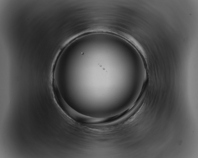 X0000095131388200712141148